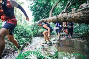 BIB: 
                            <button type="button" onclick="openModal(25463219)" class="btn btn-primary btn-sm float-right btn-popup" data-toggle="modal" data-target=".modal-high-quality">
                        <i class="fas fa-shopping-cart"></i> Add to Cart
                    </button>
                                            <button type="button" onclick="isThisMe(25463219, true)" class="btn btn-success btn-sm float-right btn-popup btn-isme hidden" data-toggle="tooltip" data-placement="bottom" title="นี่คือรูปของคุณใช่ไหม คลิกที่นี่เพื่อเอาเข้าอัลบั้ม">
                        <i class="fas fa-plus"></i> Add to album
                    </button>
                    <button type="button" onclick="isThisMe(25463219, false)" class="btn btn-warning btn-sm float-right btn-popup btn-isnotme hidden">
                        <i class="fas fa-ban"></i> Remove from album
                    </button>